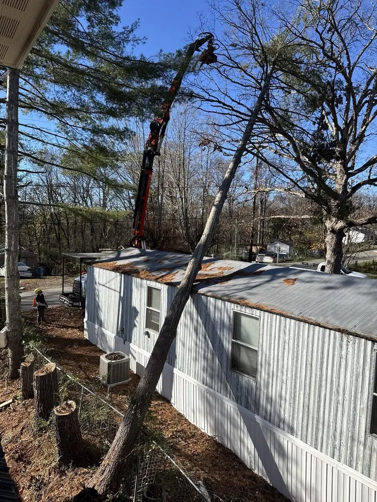 Professional yard cleanup service in West Hartford, CT by Trout Brook Landscaping