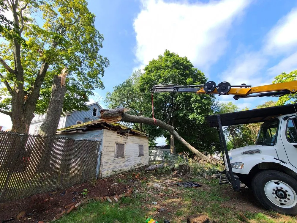 Expert residential landscaping experts serving West Hartford, CT - Trout Brook Landscaping