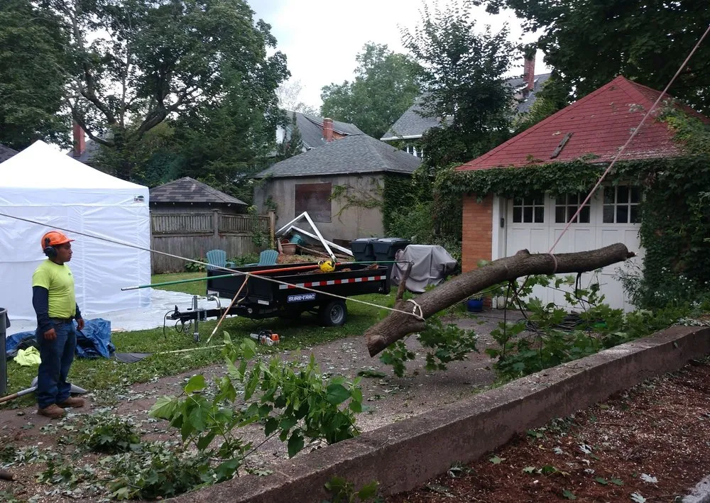 Local landscaping services experts serving West Hartford, CT - Trout Brook Landscaping