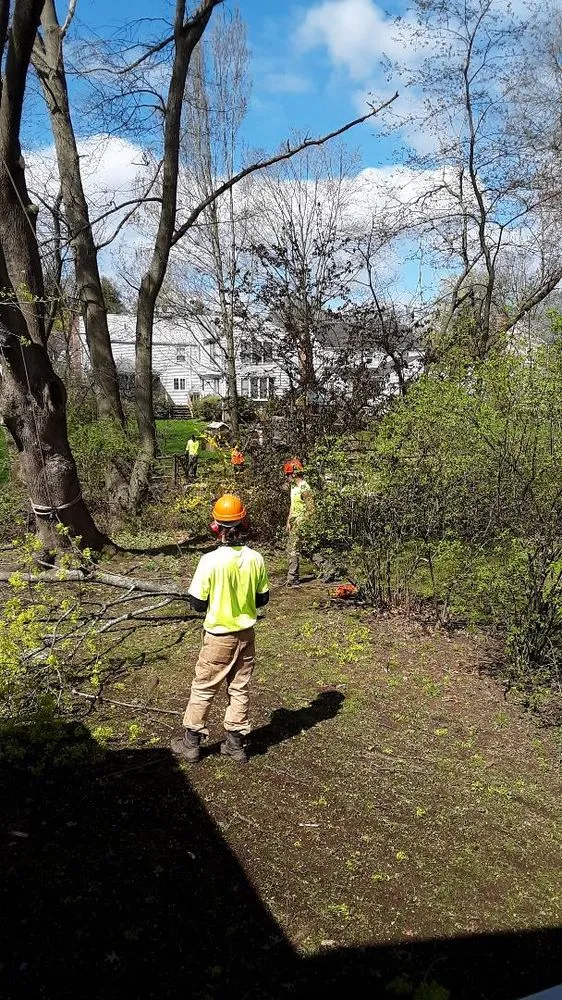 Expert residential landscaping for outdoor upgrades across West Hartford, CT - Trout Brook Landscaping