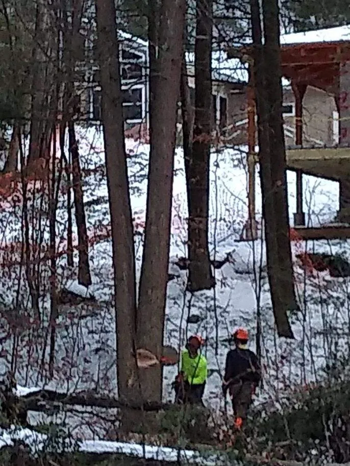 Professional landscaping services in West Hartford, CT - Trout Brook Landscaping