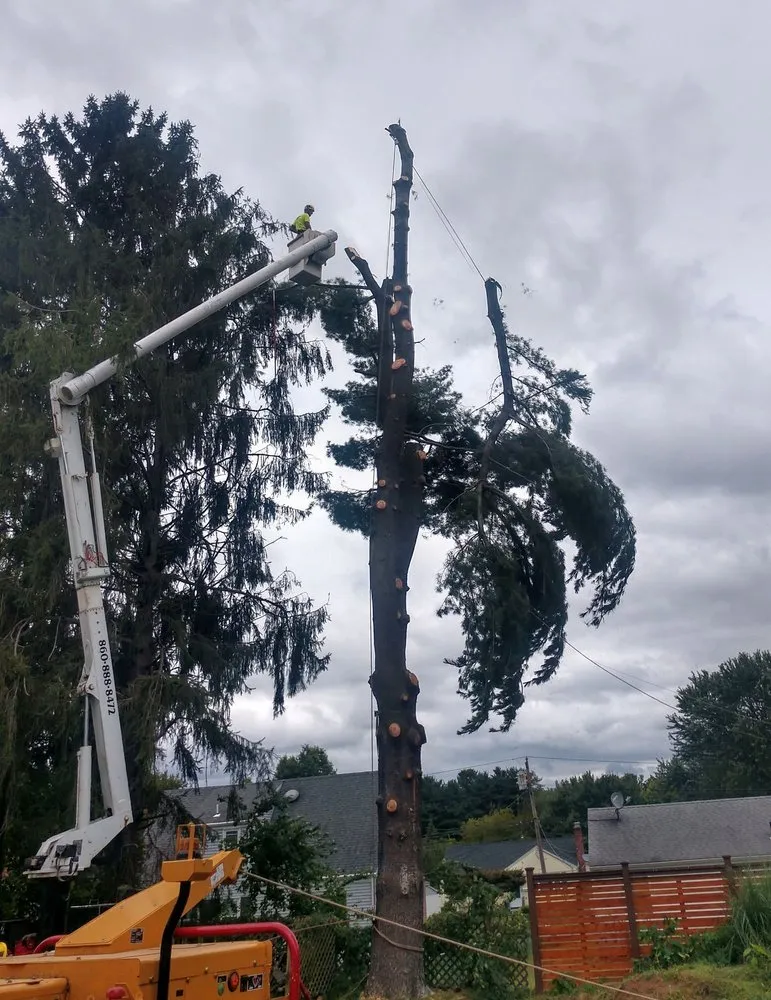 Reliable residential landscaping for residential properties in West Hartford, CT by Trout Brook Landscaping