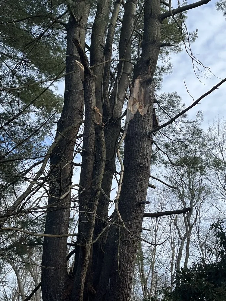 Reliable garden landscaping experts serving West Hartford, CT - Trout Brook Landscaping