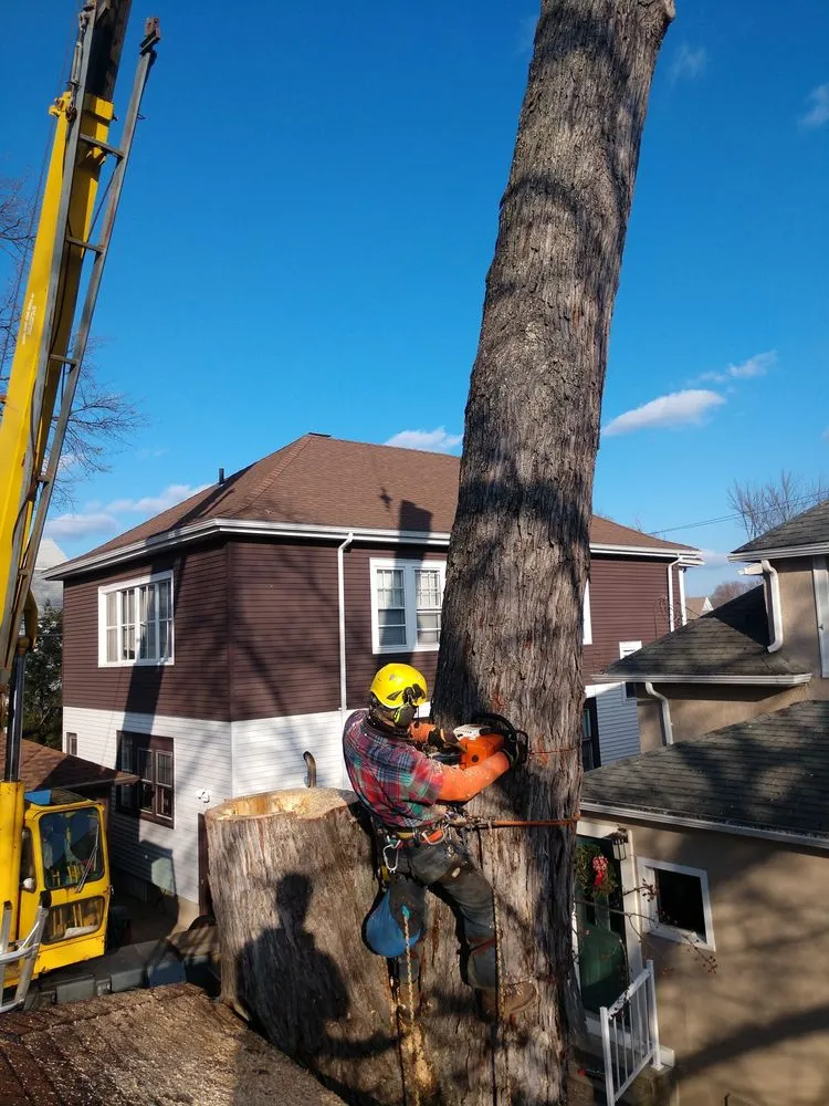 Local landscape installation experts serving West Hartford, CT - Trout Brook Landscaping