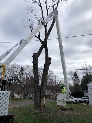 Reliable landscaping services for beautiful yards across West Hartford, CT - Trout Brook Landscaping