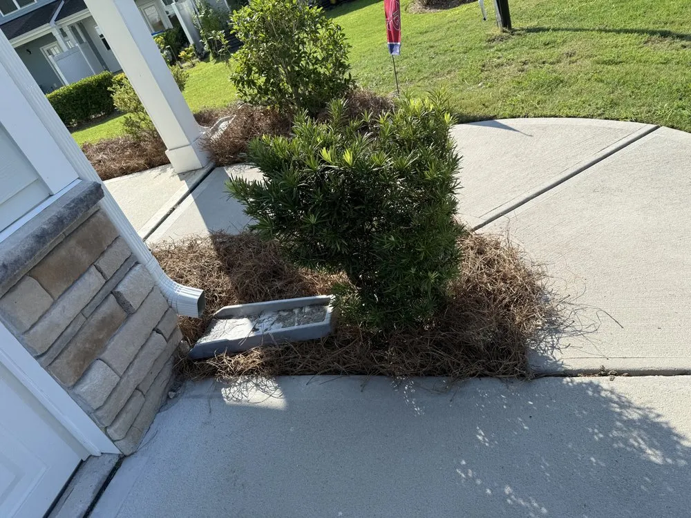 Top-rated landscape installation for year-round maintenance in Hampstead, NC by Trout Lawn & Landscape