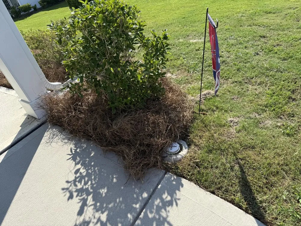 Top-rated landscaping services for outdoor upgrades across Hampstead, NC - Trout Lawn & Landscape