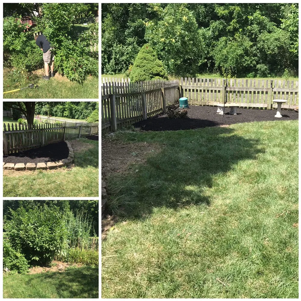 Expert landscape installation for beautiful yards across Springfield, OH - Troy Davis Service Pros