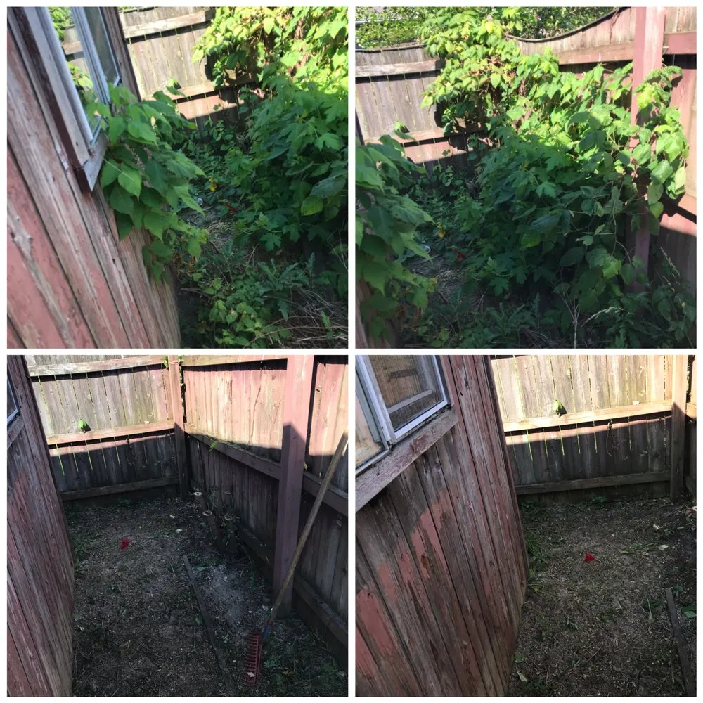 Professional lawn mowing service in Springfield, OH - Troy Davis Service Pros