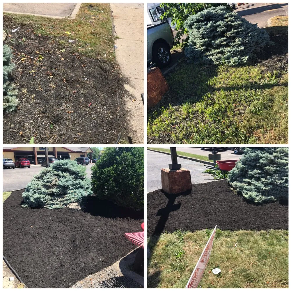 Professional landscape installation in Springfield, OH by Troy Davis Service Pros