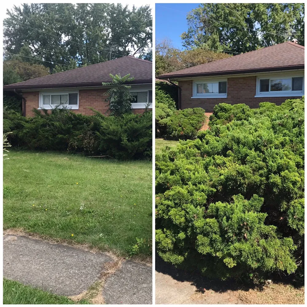 Expert lawn care service for year-round maintenance across Springfield, OH - Troy Davis Service Pros