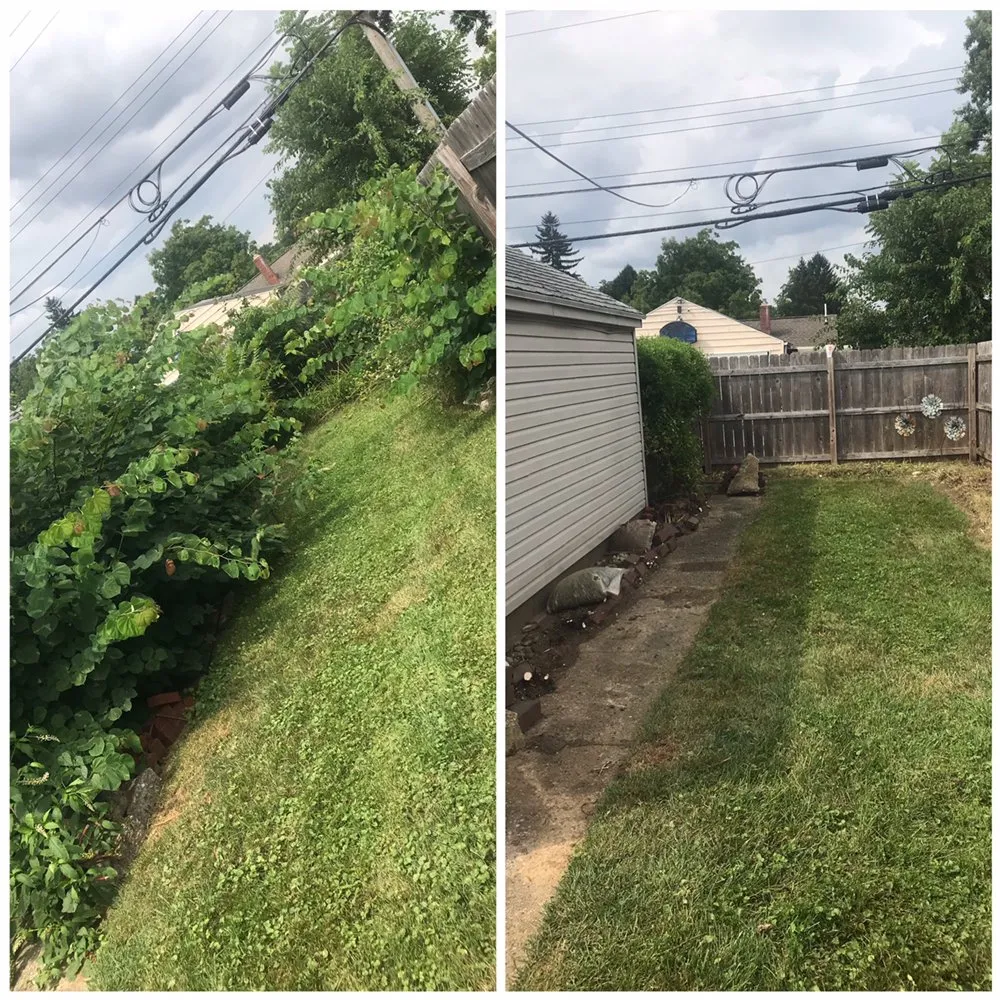 Affordable lawn mowing service in Springfield, OH - Troy Davis Service Pros