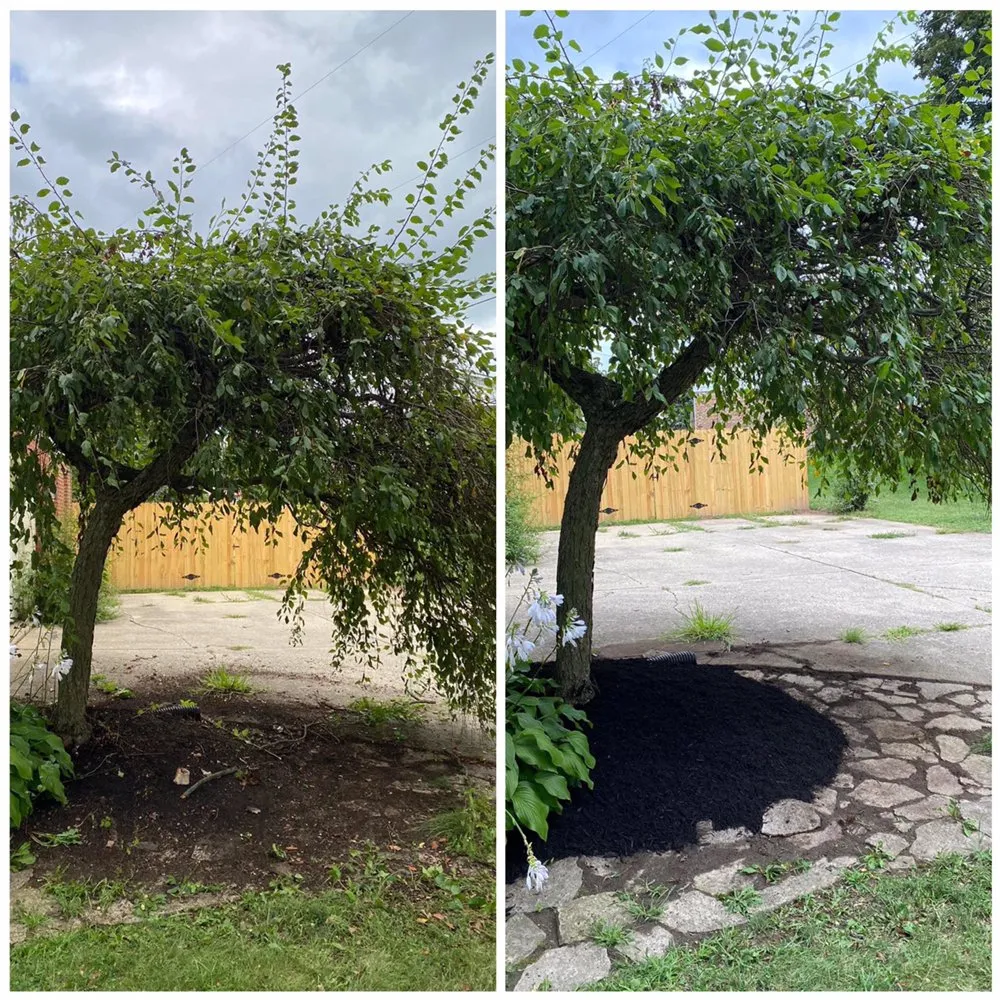 Professional garden landscaping in Springfield, OH - Troy Davis Service Pros