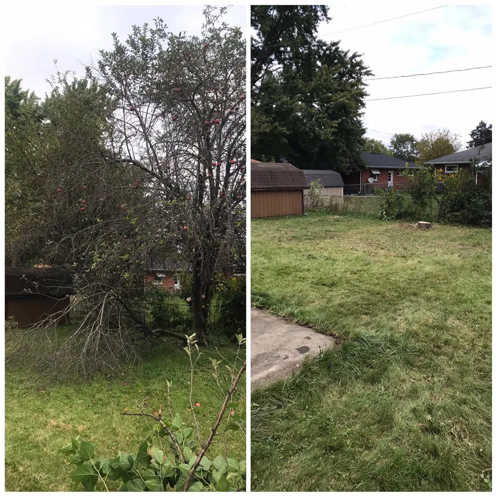 Top-rated landscape installation in Springfield, OH - Troy Davis Service Pros