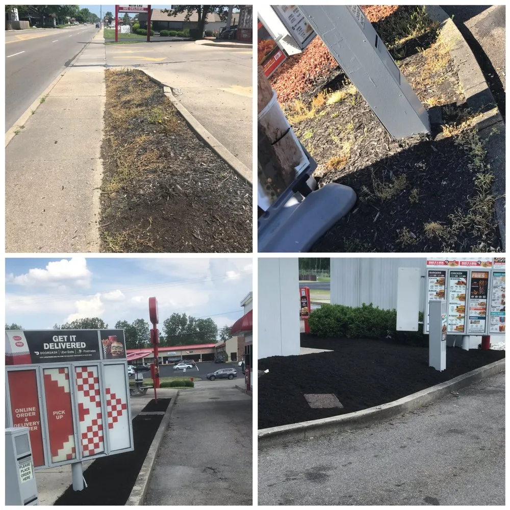 Affordable lawn mowing service in Springfield, OH by Troy Davis Service Pros