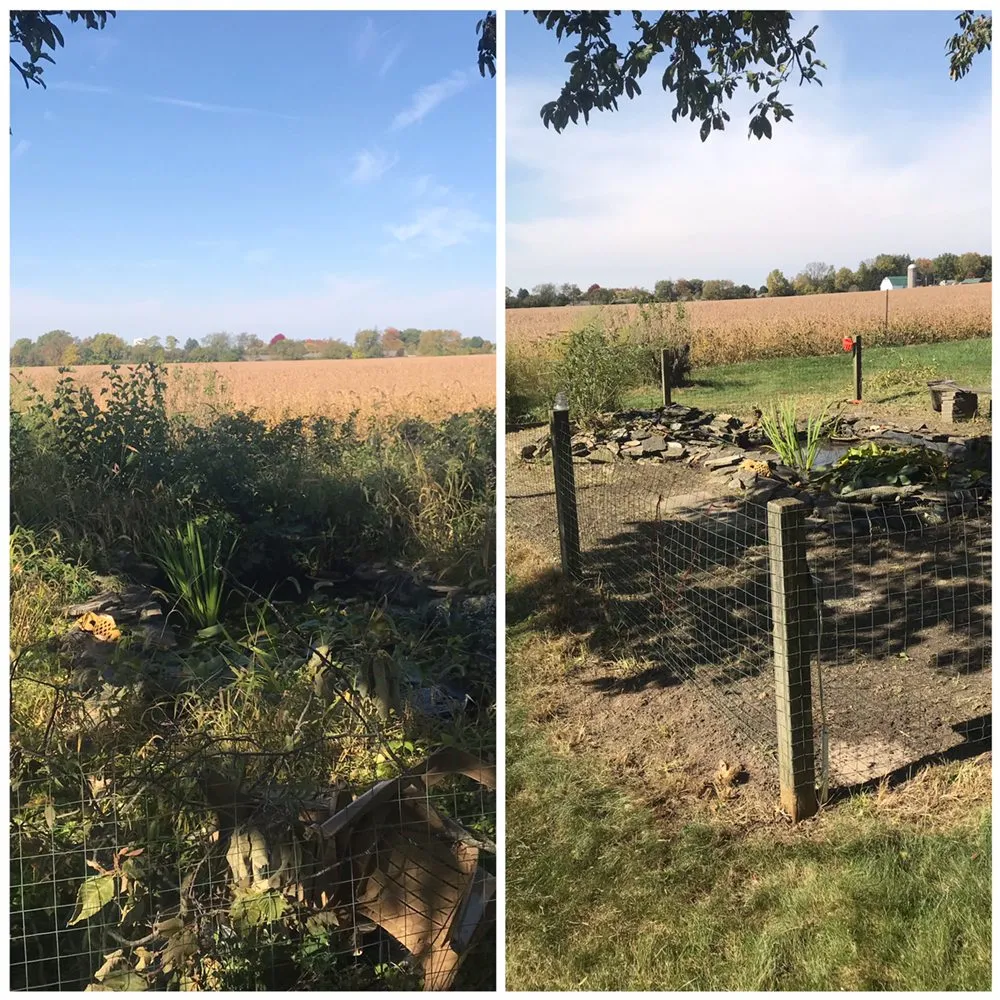 Top-rated yard cleanup service near you in Springfield, OH by Troy Davis Service Pros