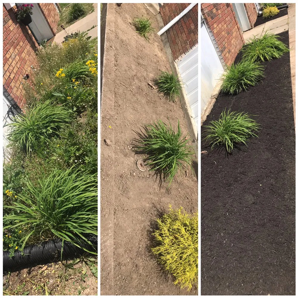 Affordable landscaping services in Springfield, OH - Troy Davis Service Pros