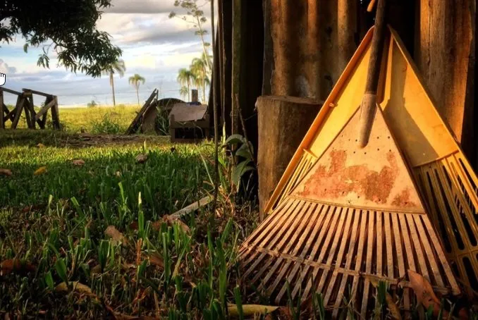 Affordable landscape design experts serving Troy, OH - Troy Lawn Care Service