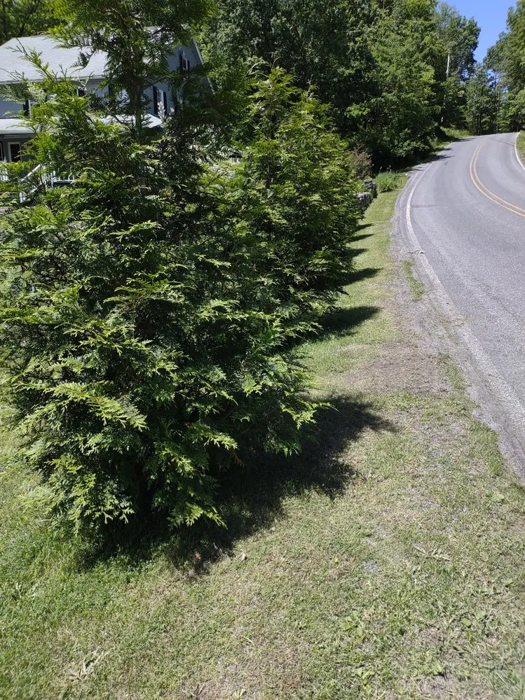 Trusted landscaping services experts serving Pocono Township, PA - Troy Solutions