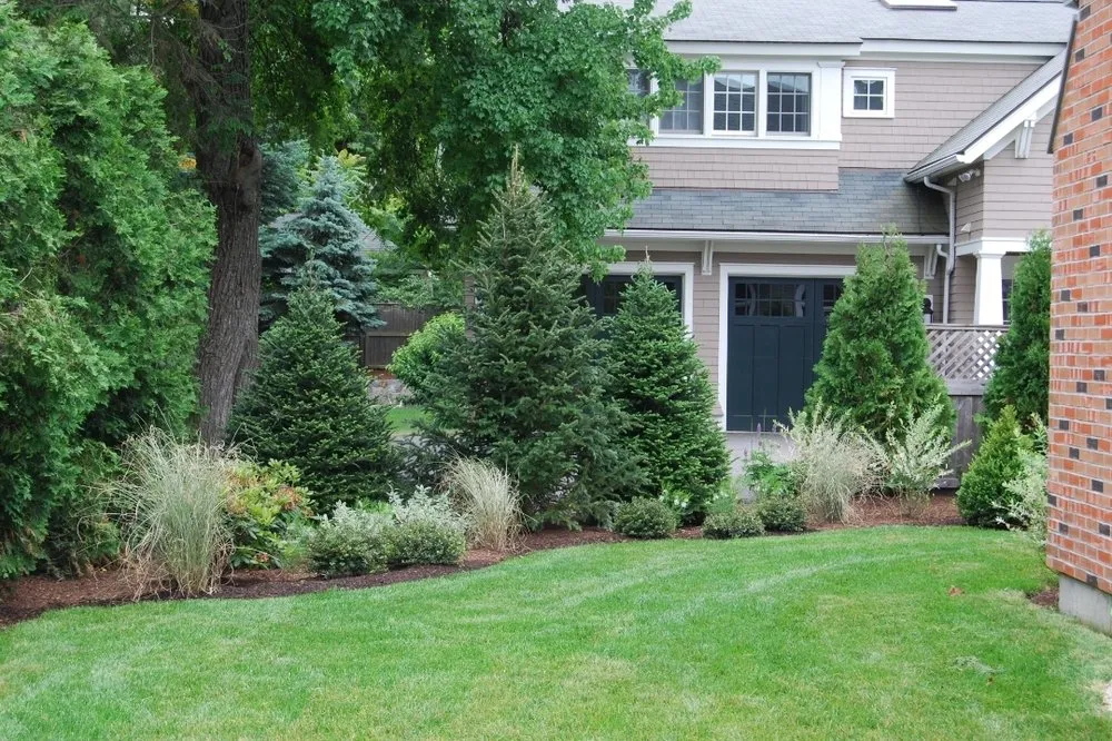 Trusted lawn care service in Pocono Township, PA by Troy Solutions
