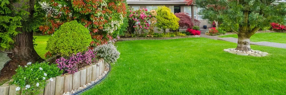 Local landscape installation for year-round maintenance across Breaux Bridge, LA - TroyCo Grass Masters