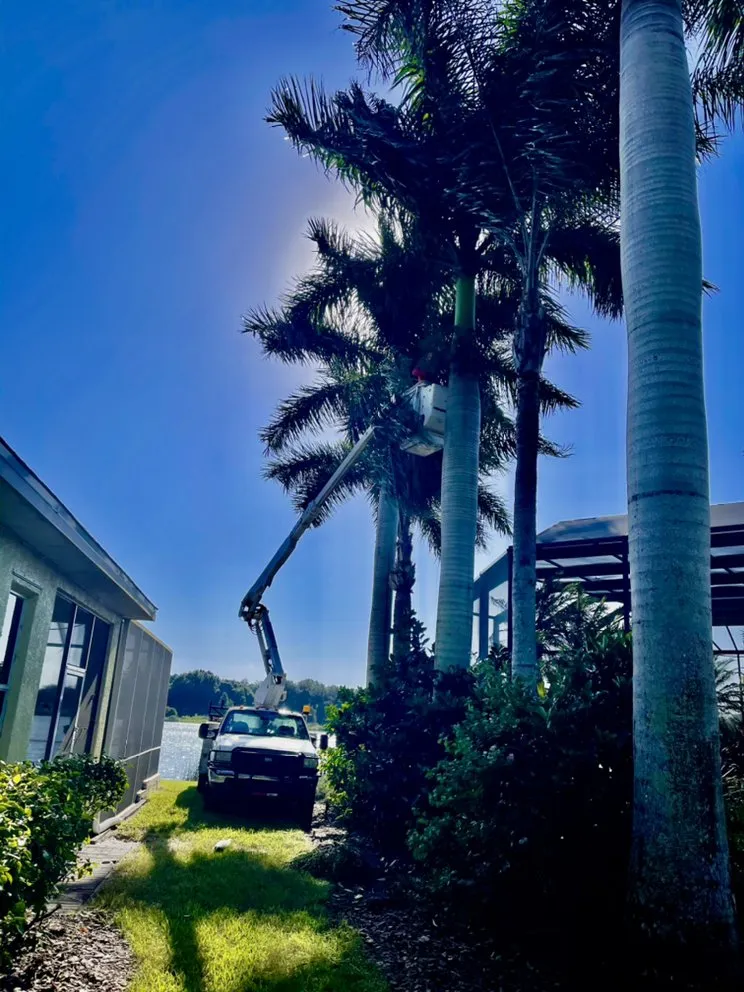 Trusted lawn mowing service in Sarasota, FL by Troyer Tree Service