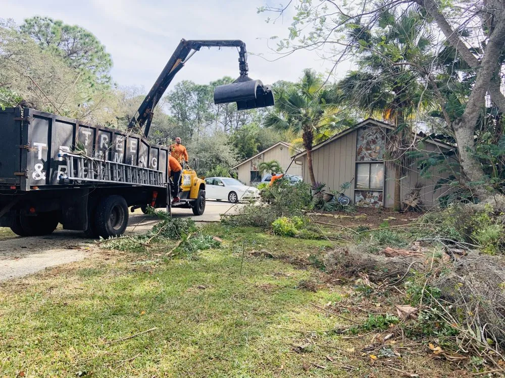 Top-rated yard cleanup service for homes across Sarasota, FL - Troyer Tree Service