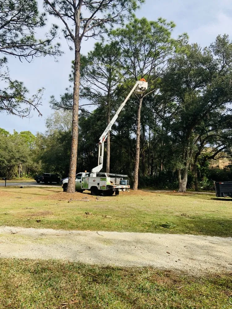 Custom lawn mowing service in Sarasota, FL - Troyer Tree Service