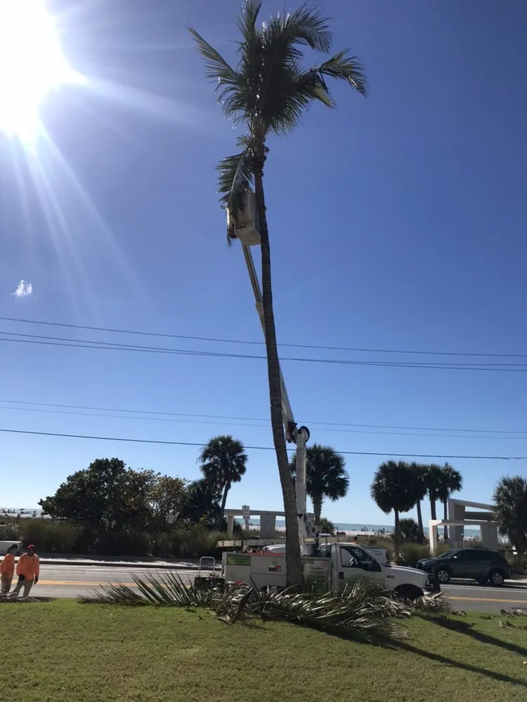 Expert residential landscaping experts serving Sarasota, FL - Troyer Tree Service