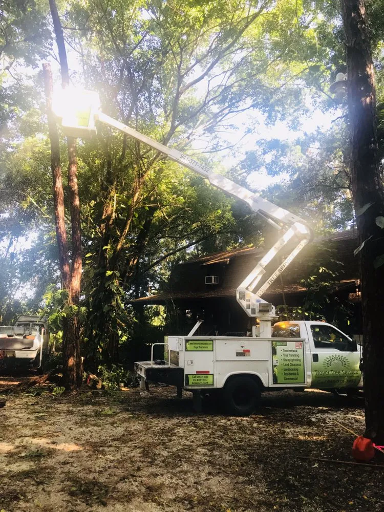 Expert lawn mowing service near you in Sarasota, FL by Troyer Tree Service