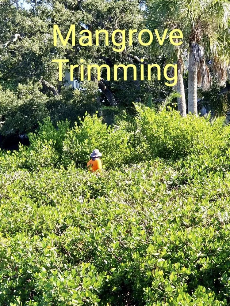 Trusted garden landscaping in Sarasota, FL - Troyer Tree Service
