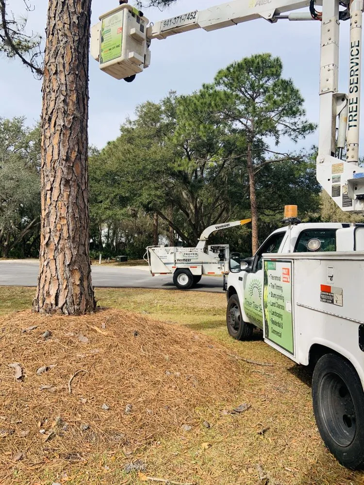 Custom lawn care service in Sarasota, FL by Troyer Tree Service
