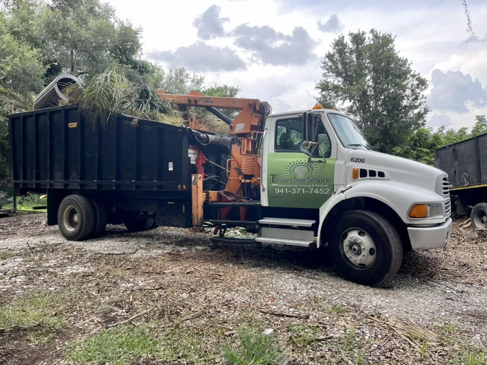 Reliable lawn mowing service with custom design in Sarasota, FL by Troyer Tree Service