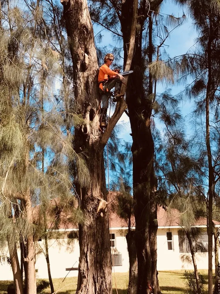 Professional landscape installation for homes in Sarasota, FL by Troyer Tree Service