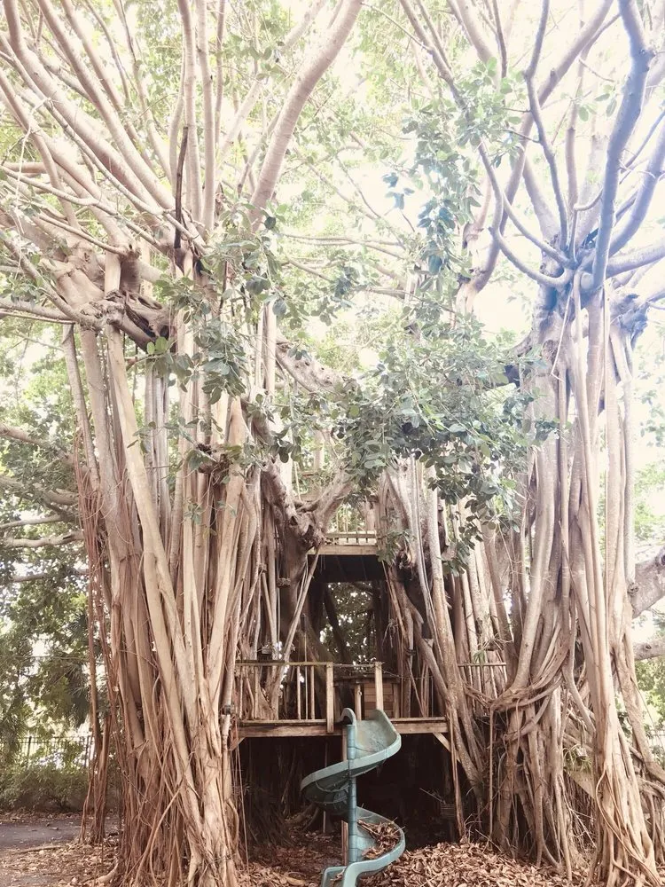 Expert yard maintenance with custom design across Sarasota, FL - Troyer Tree Service