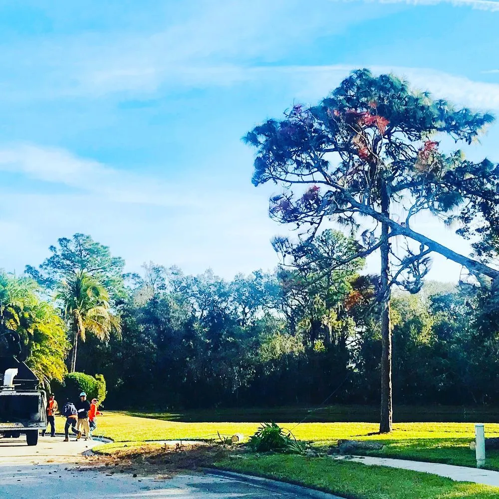 Top-rated landscaping services in Sarasota, FL by Troyer Tree Service