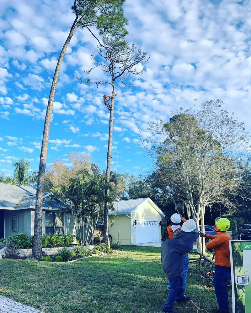 Reliable garden landscaping near you across Sarasota, FL - Troyer Tree Service