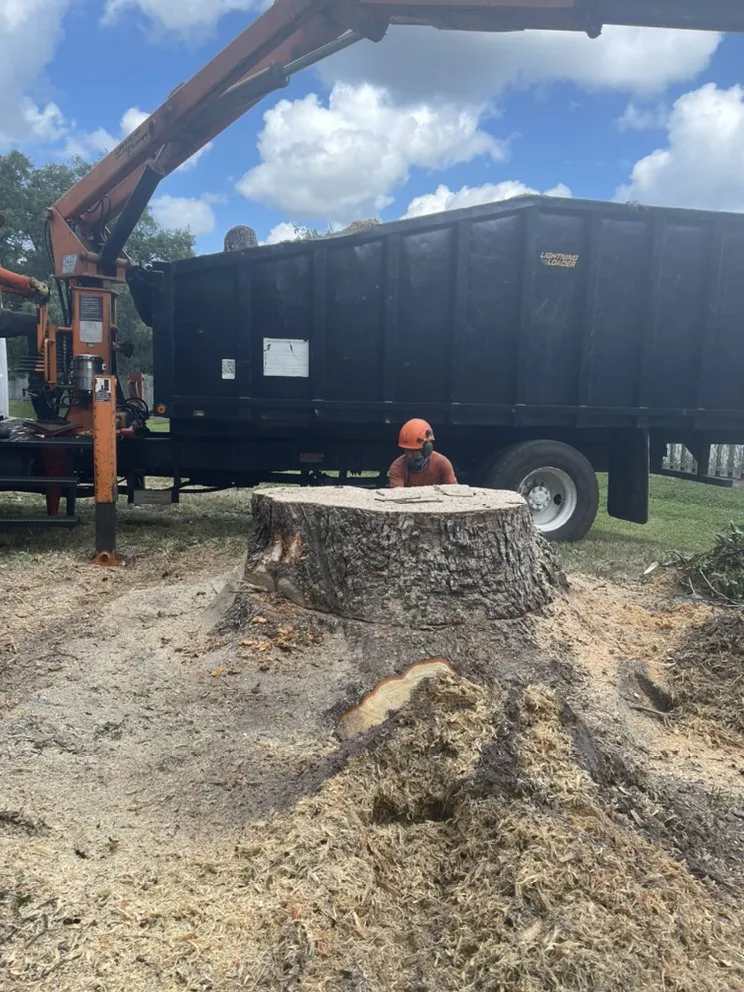 Custom residential landscaping in Sarasota, FL - Troyer Tree Service