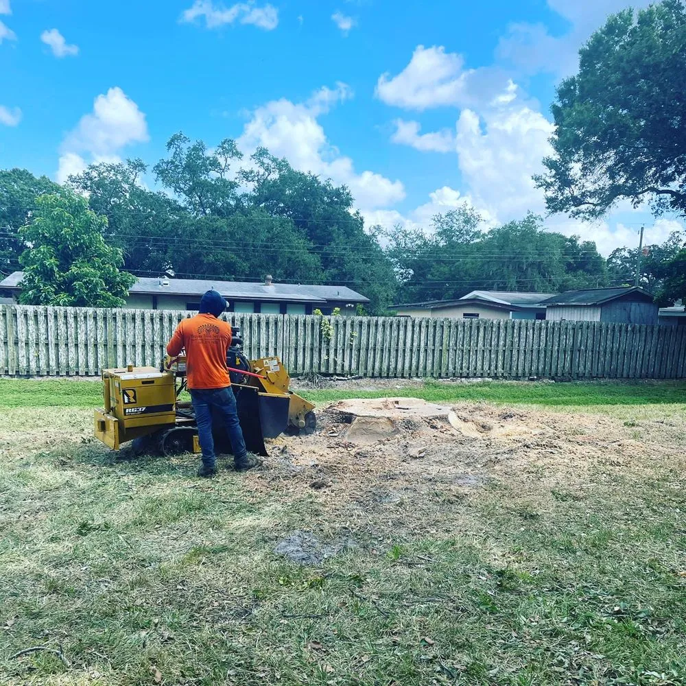 Trusted landscaping services in Sarasota, FL - Troyer Tree Service
