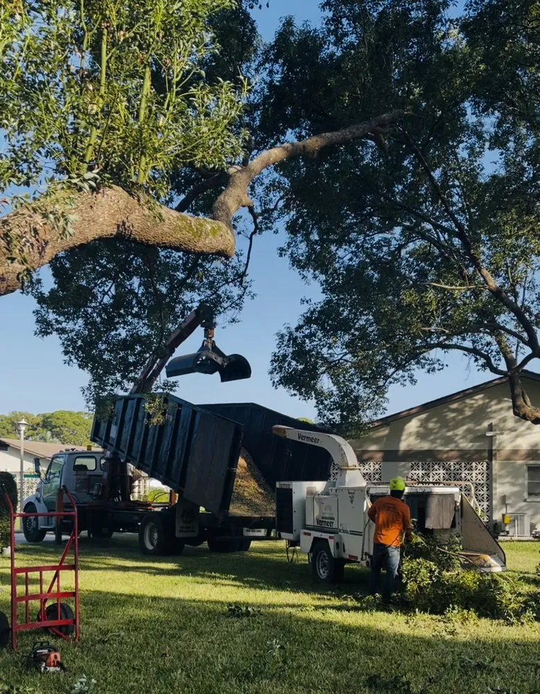 Top-rated yard cleanup service experts serving Sarasota, FL - Troyer Tree Service