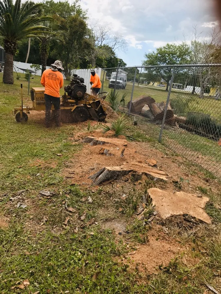 Expert landscape installation in Sarasota, FL - Troyer Tree Service