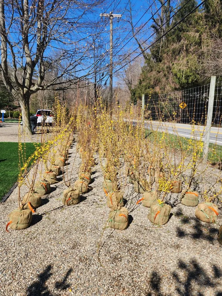 Expert yard maintenance for year-round maintenance in Bedford, NY by Troys Garden Nurseries