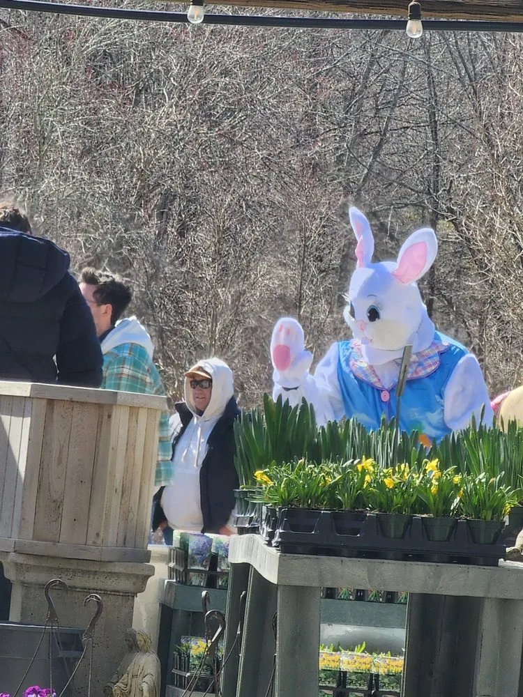 Top-rated residential landscaping in Bedford, NY - Troys Garden Nurseries