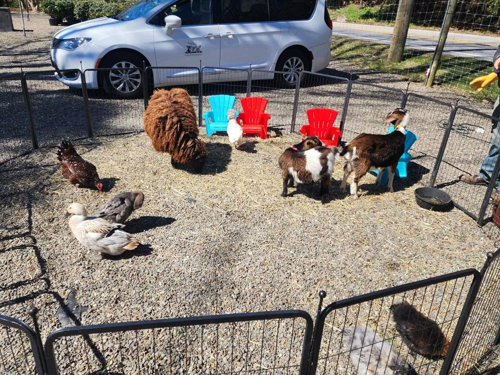 Custom outdoor landscaping experts serving Bedford, NY - Troys Garden Nurseries