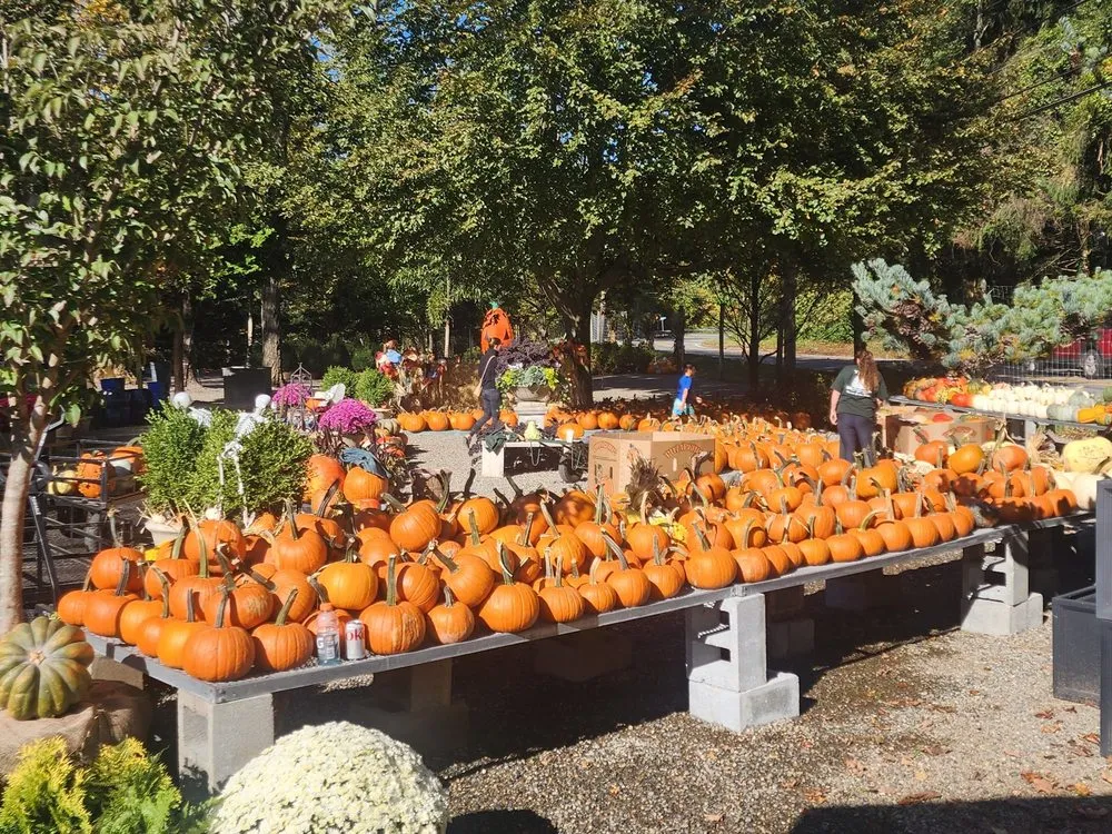 Expert lawn care service in Bedford, NY by Troys Garden Nurseries