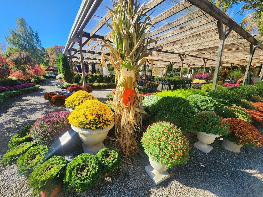 Trusted lawn care service in Bedford, NY by Troys Garden Nurseries