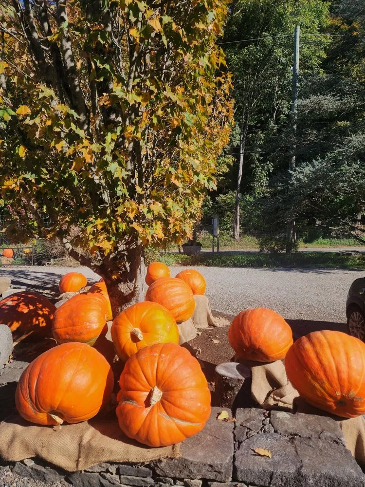 Reliable lawn care service in Bedford, NY - Troys Garden Nurseries