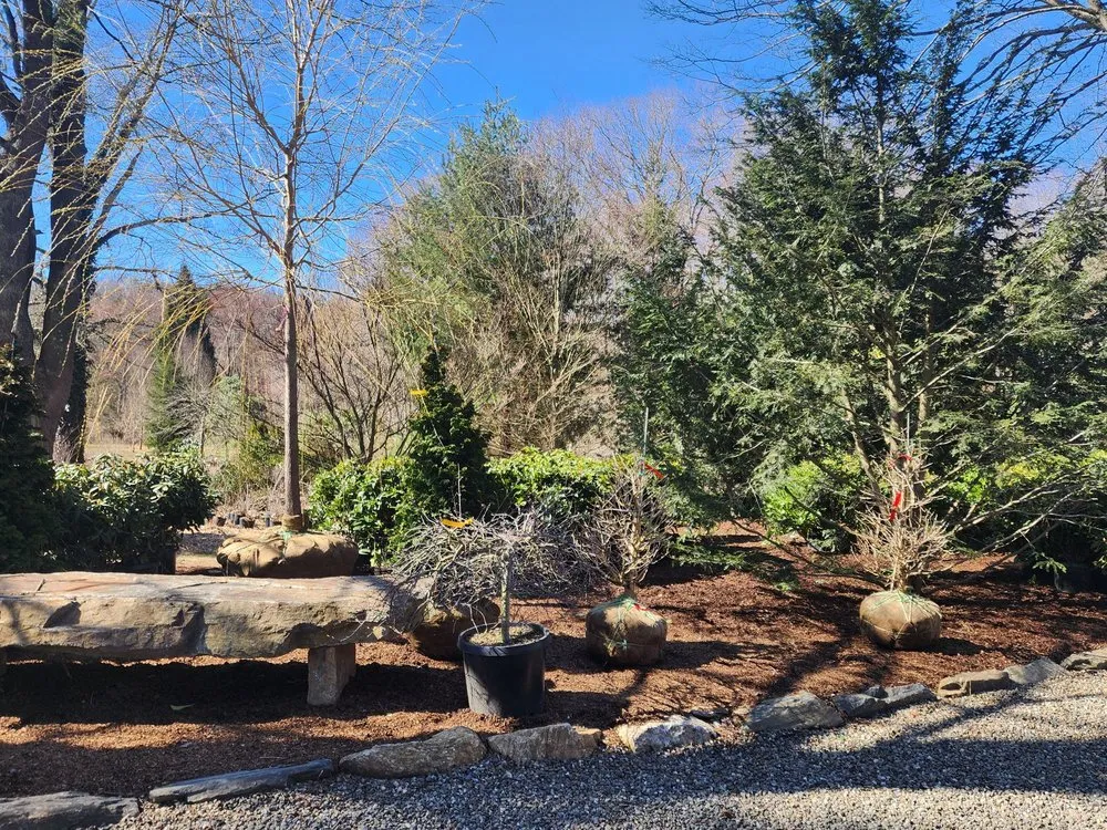 Expert outdoor landscaping in Bedford, NY - Troys Garden Nurseries