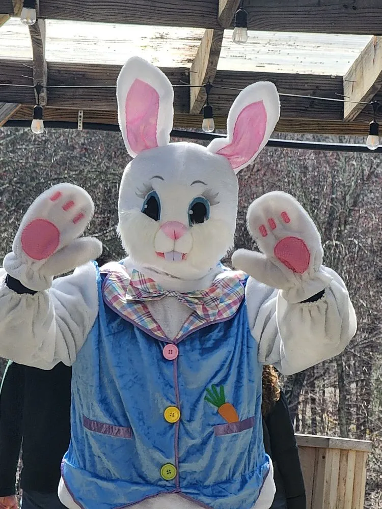 Affordable residential landscaping for homes across Bedford, NY - Troys Garden Nurseries