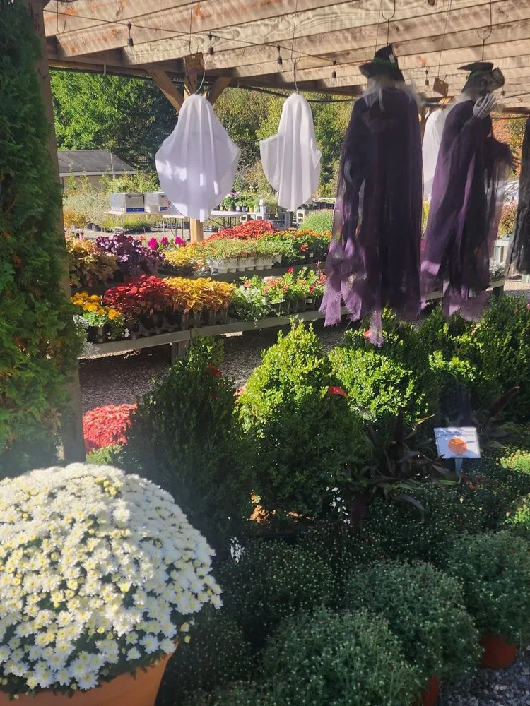 Affordable yard cleanup service in Bedford, NY - Troys Garden Nurseries